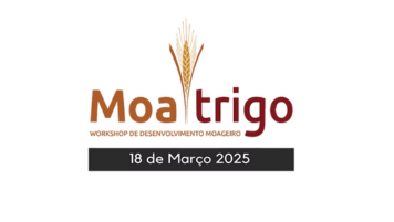 MoaTrigo